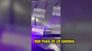 Mô-đun LED UV